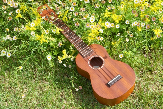 甲子園・大阪・尼崎のフラ教室　ハラウ フラ オ カプア レイピカケ